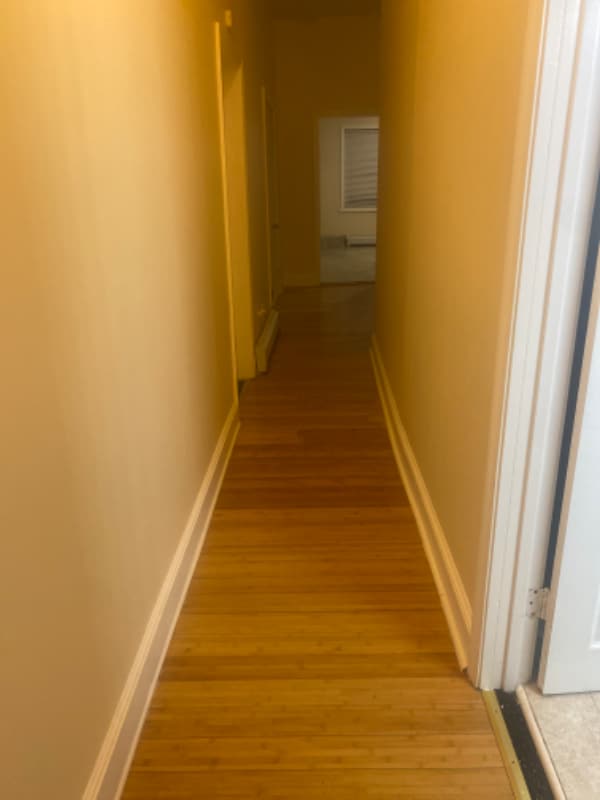 145 Magnolia St in Providence, RI - Foto de edificio - Building Photo