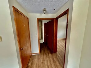 Franklin Street Apartments in Springville, NY - Building Photo - Building Photo