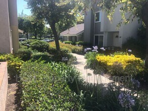9 Goldenbush in Irvine, CA - Foto de edificio - Building Photo