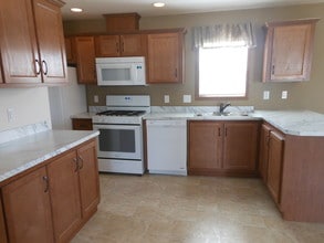 Oak Ridge in Manteno, IL - Building Photo - Building Photo