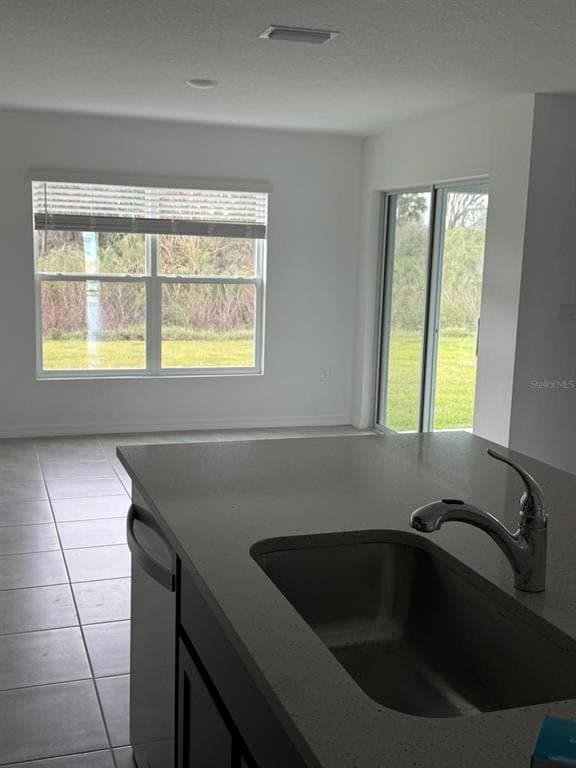 1824 Tahitian Sunrise Dr in Plant City, FL - Building Photo - Building Photo