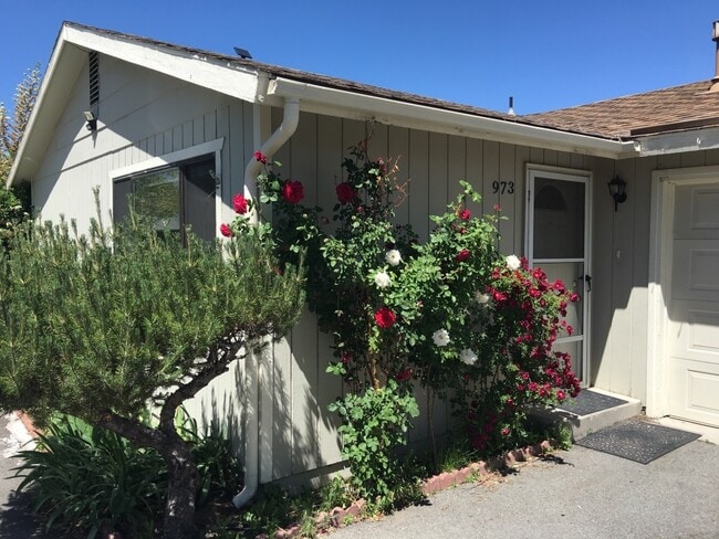 973 Holman Way in Sparks, NV - Building Photo - Building Photo