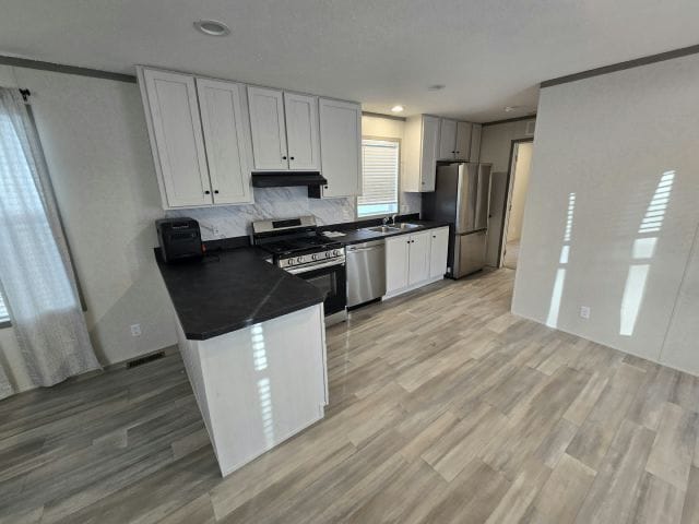 103 Bardin Dr in Mankato, MN - Building Photo - Building Photo