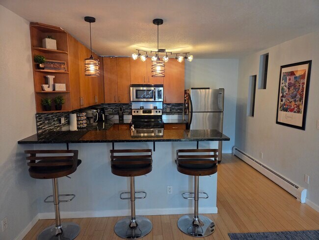 188 S Logan St, Unit 203 in Denver, CO - Building Photo - Building Photo