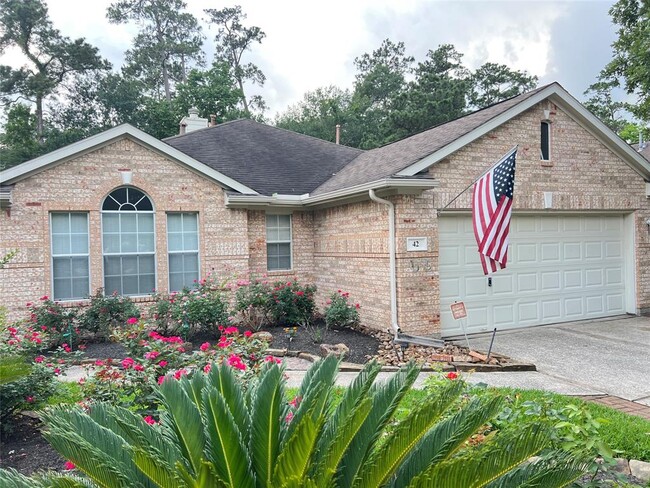 42 W Foxbriar Forest Cir in Spring, TX - Building Photo - Building Photo