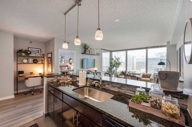 339 E Ohio St in Chicago, IL - Building Photo - Building Photo