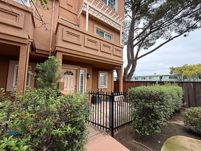 property at 1599 Delante Terrace