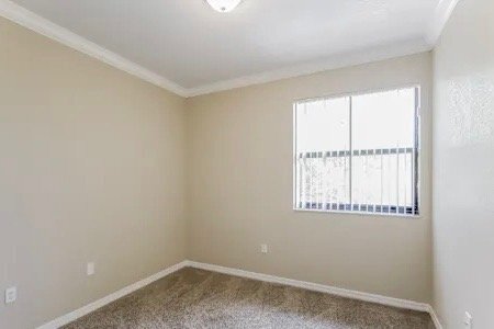 8843 SW 228th Ln in Cutler Bay, FL - Building Photo - Building Photo