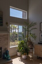 551 Hygeia Ave in Encinitas, CA - Building Photo - Building Photo
