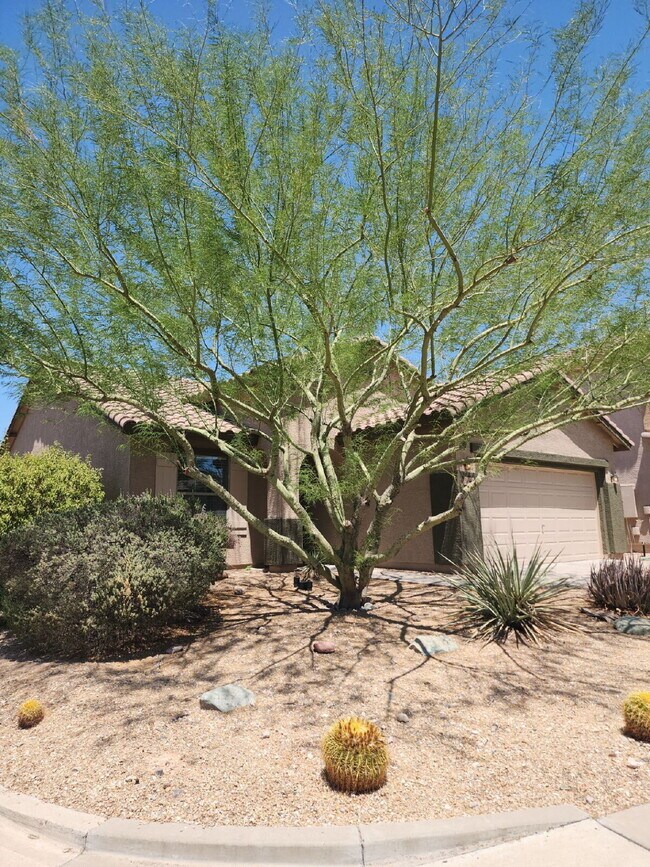 3640 Aidan Ln in Anthem, AZ - Building Photo - Building Photo
