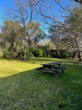 1249 Belvin St in San Marcos, TX - Building Photo - Building Photo