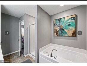 11280 Sand Castle Dr in Woodbury, MN - Building Photo - Building Photo