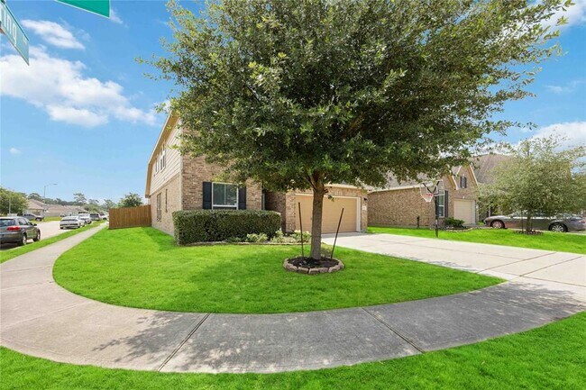 21722 Rainfall Park Dr in Spring, TX - Foto de edificio - Building Photo