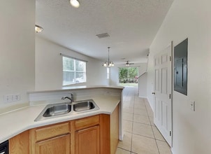5500 Paradise Cay Cir in Kissimmee, FL - Building Photo - Building Photo