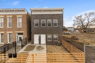 2431 W 24th St in Chicago, IL - Building Photo