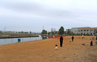 Redwood Shores