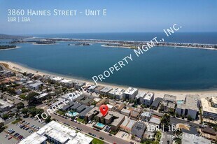 3860 Haines St in San Diego, CA - Building Photo