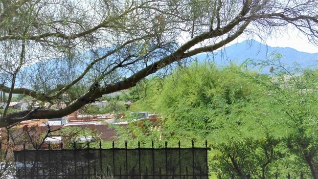 property at 2501 S Calle Cervantes