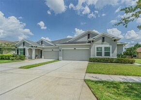 4256 Ashton Meadows Way in Wesley Chapel, FL - Building Photo