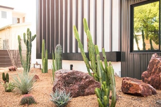 955 N. Oxford Ave. in Los Angeles, CA - Foto de edificio - Building Photo