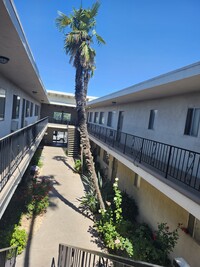 6551 De Soto Ave in Canoga Park, CA - Foto de edificio - Building Photo