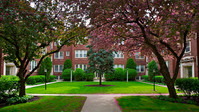 130-142 N. Humphrey Ave. in Oak Park, IL - Building Photo - Building Photo