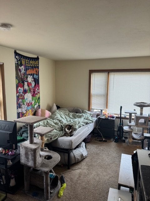 3311 Harvey St, Unit 3311 B