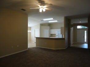 10536 Juliano Dr in Riverview, FL - Building Photo - Building Photo