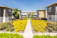 Hollypark Knolls Apartments in Inglewood, CA - Foto de edificio - Building Photo