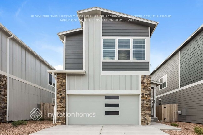 11481 Whistling Duck Wy