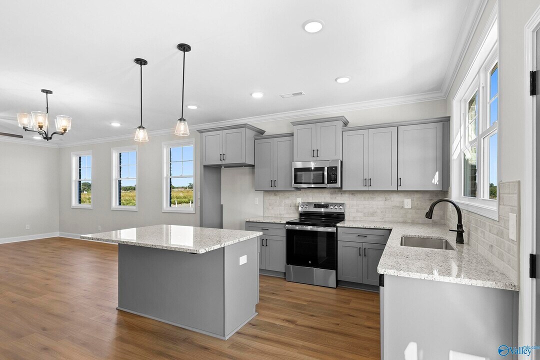 241 Susan Lynn Dr in Hazel Green, AL - Building Photo