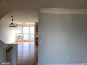 157 Darling St in Newark, DE - Building Photo - Building Photo