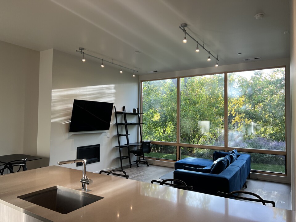 101 Willits Ln in Basalt, CO - Building Photo