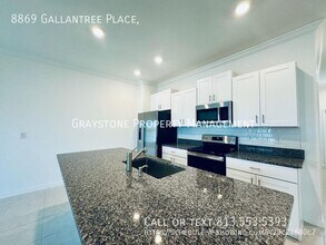 8869 Gallantree Pl in Land O Lakes, FL - Building Photo - Building Photo