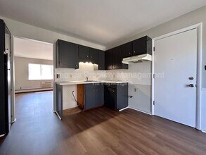 143 Exchange St SE in Grand Rapids, MI - Building Photo - Building Photo