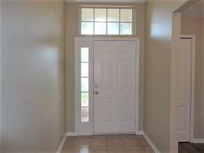 29812 Morning Mist Drive in Wesley Chapel, FL - Building Photo - Building Photo