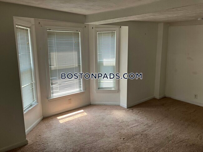 117 South St, Unit A in Waltham, MA - Building Photo - Building Photo