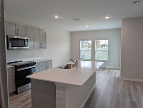 36928 Sagemoor Dr in Zephyrhills, FL - Foto de edificio - Building Photo