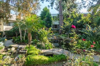 The Continental Arcadia in Arcadia, CA - Building Photo - Building Photo