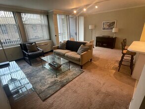 30 E Elm St, Unit 4F in Chicago, IL - Building Photo - Building Photo