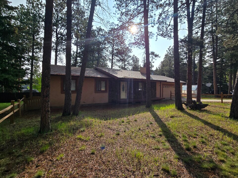 777 Centre Camino in Woodland Park, CO - Building Photo