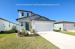 7209 Amelia River Dr in Parrish, FL - Building Photo