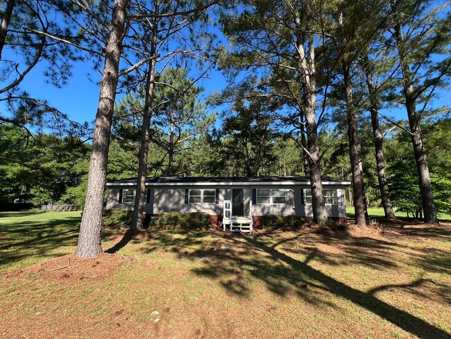 6451 Brooklet-Denmark Rd in Brooklet, GA - Building Photo - Building Photo