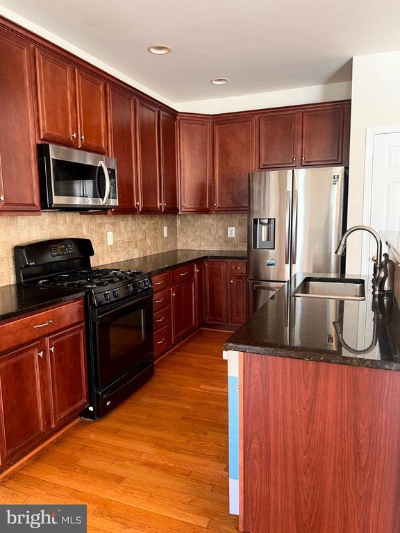 25205 Larks Terrace in South Riding, VA - Building Photo - Building Photo