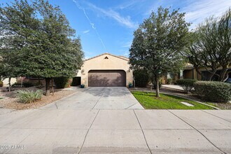 3535 S Jasmine Dr in Chandler, AZ - Building Photo - Building Photo