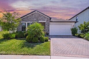 9571 Little Bluestem Dr in Land O Lakes, FL - Building Photo
