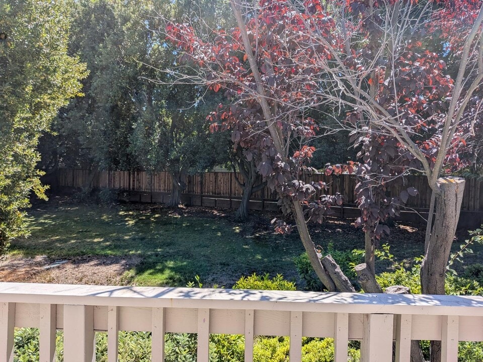 217 Ada Ave in Mountain View, CA - Building Photo