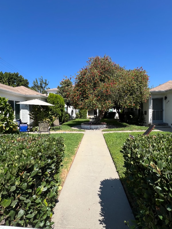209 W Maple St in Glendale, CA - Foto de edificio - Building Photo