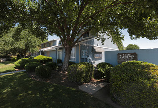 The Loft Townhomes in Clovis, CA - Building Photo - Building Photo