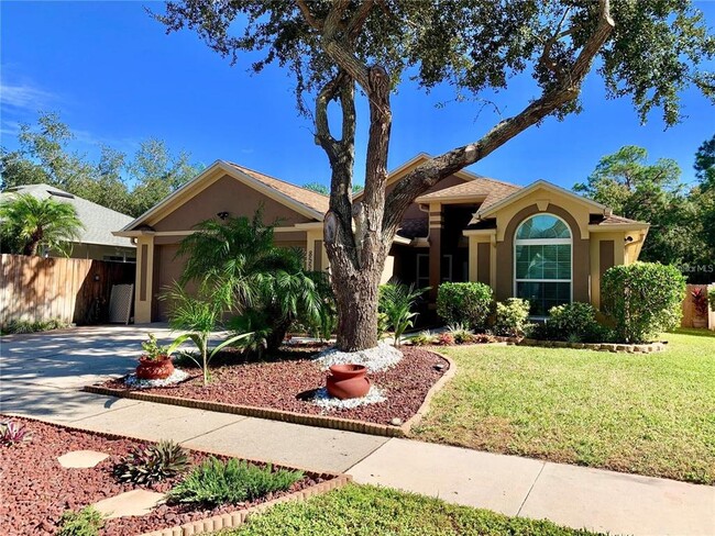 8553 Manassas Rd in Tampa, FL - Building Photo - Building Photo